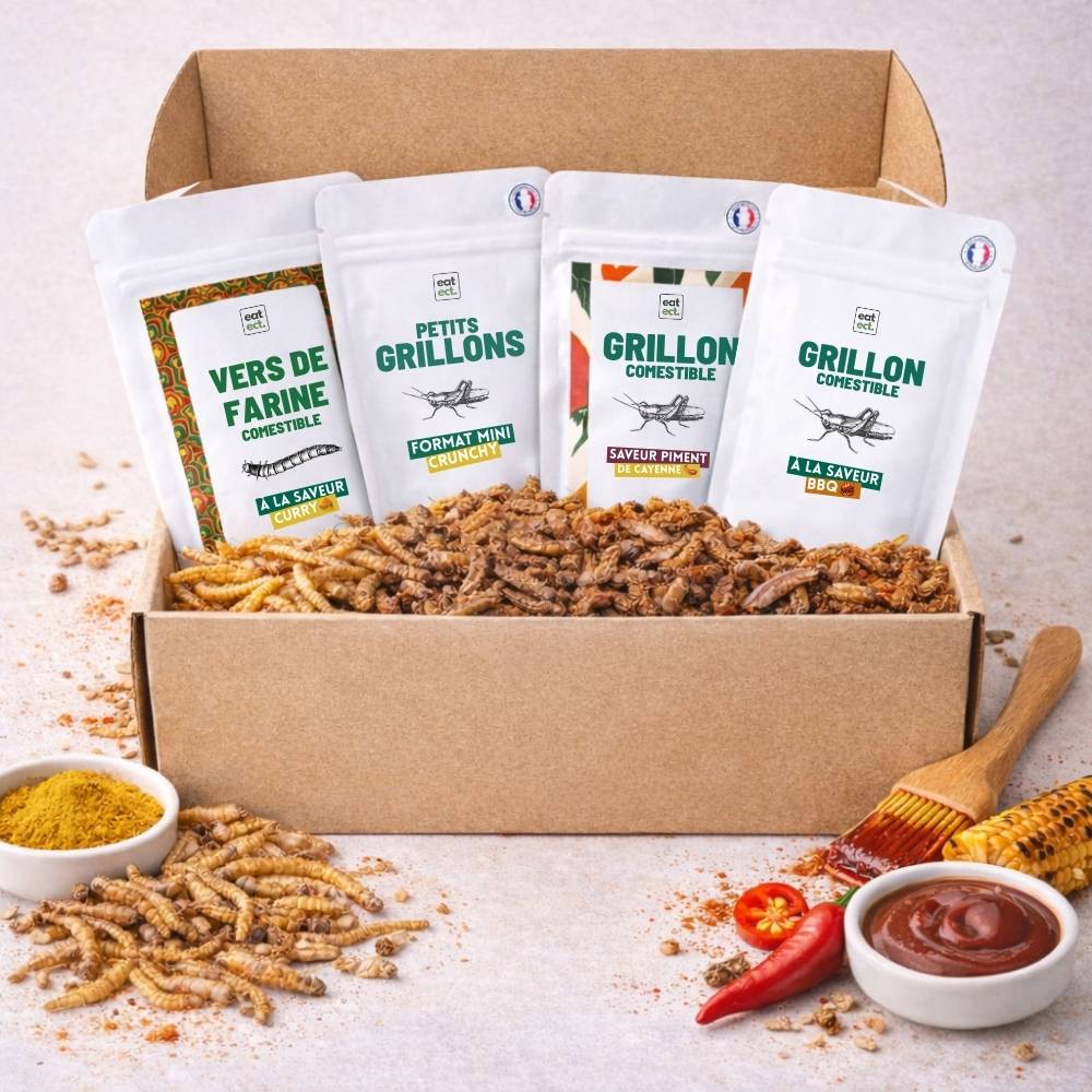 Box découverte d’insectes comestibles avec assortiment de grillons, criquets et vers