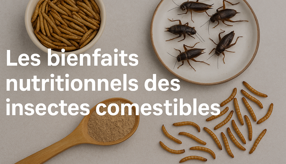 Les bienfaits nutritionnels des insectes comestibles EatEct