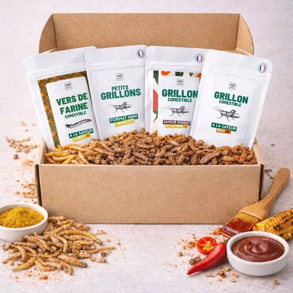 Box découverte d’insectes comestibles avec assortiment de grillons, criquets et vers
