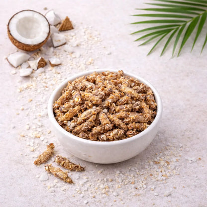 Criquets comestibles saveur coco servis à l’apéritif