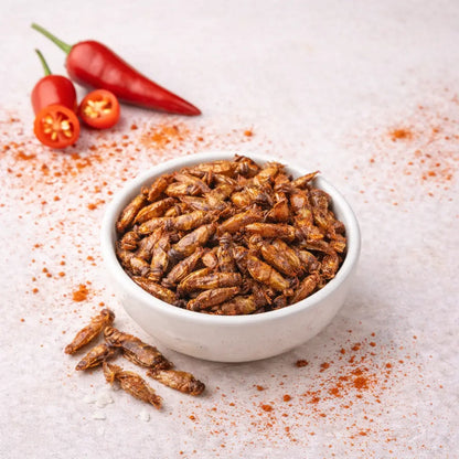 Grillons comestibles pimentés aux épices