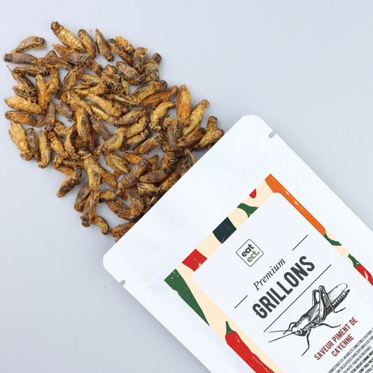 Grillons - Saveur Piment de Cayenne